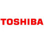 Петли Toshiba